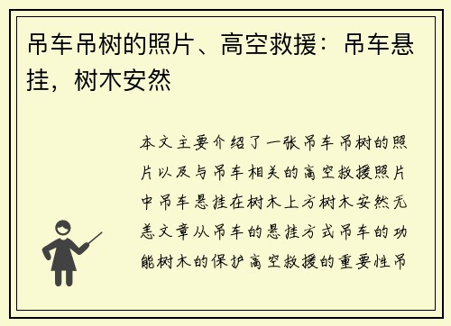 吊车吊树的照片、高空救援：吊车悬挂，树木安然