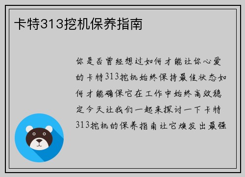 卡特313挖机保养指南