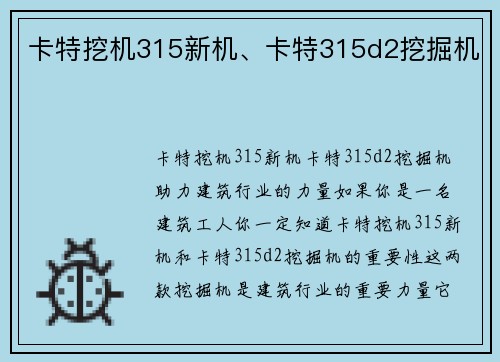 卡特挖机315新机、卡特315d2挖掘机