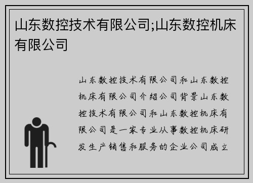 山东数控技术有限公司;山东数控机床有限公司